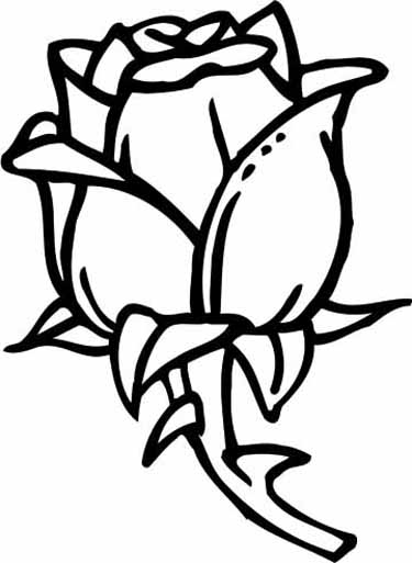 375x513 Rose Coloring Pages With Subtle Shapes And Forms, Can Be Colored