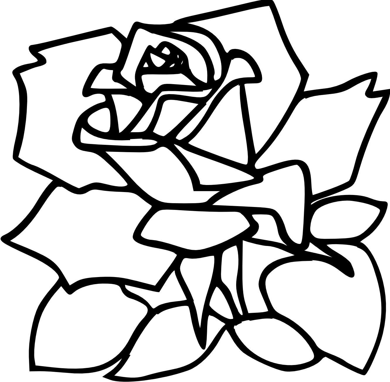 1331x1303 Rose Drawings Black And White