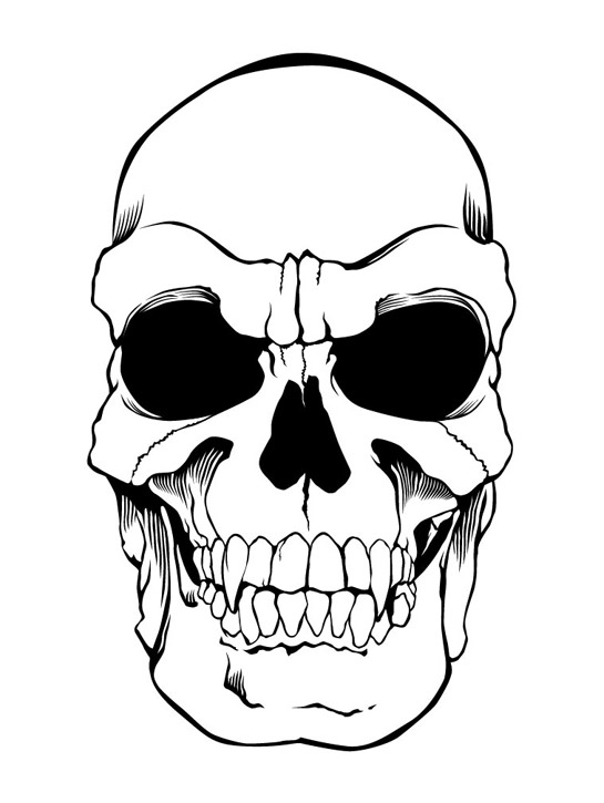 545x725 Evil Skulls Group