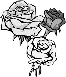 216x249 Expressive Rose Sketch Blossoming Art Again!