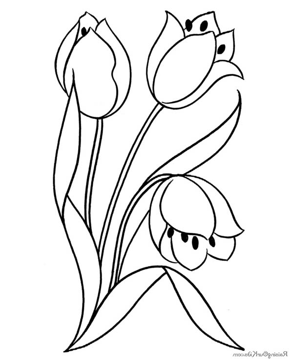 600x734 Flower Blooming Coloring Page