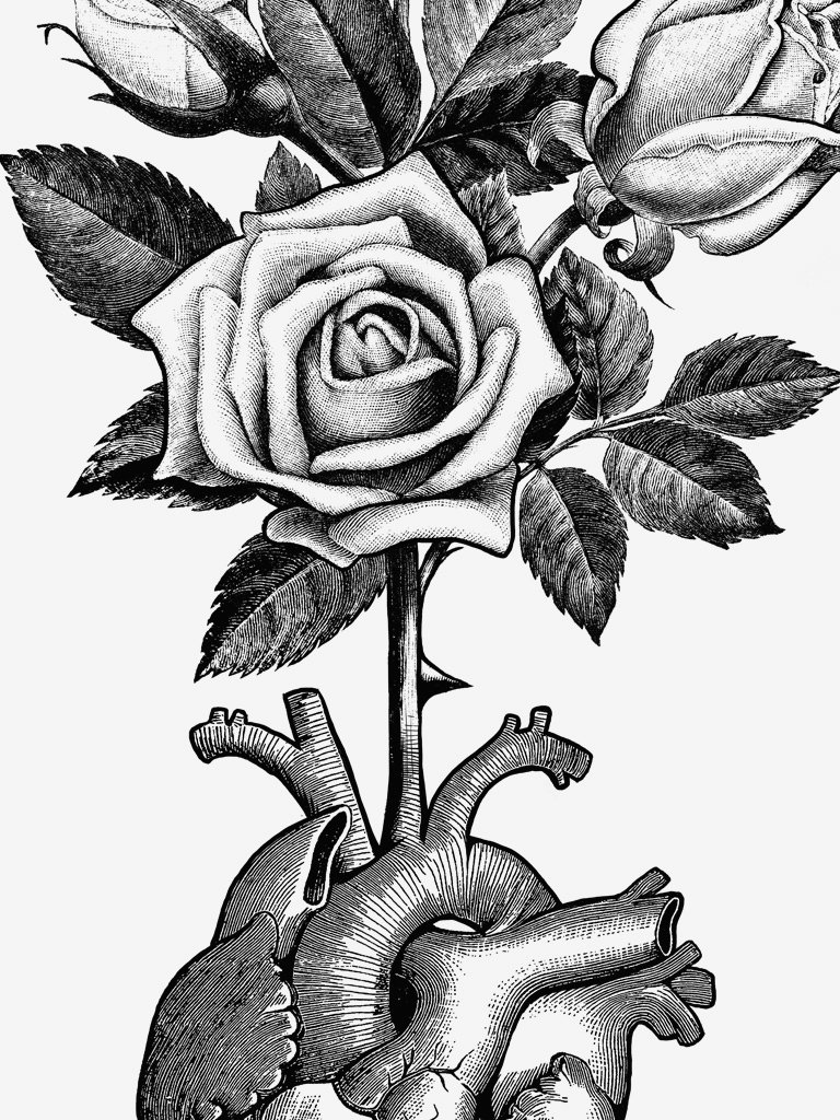 768x1024 Heart Bloom Divine Savages