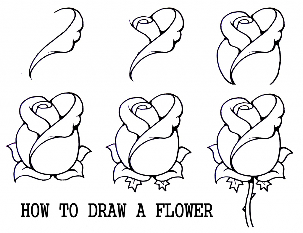 Bloomed Rose Drawing at GetDrawings | Free download