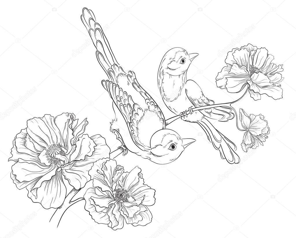 1024x821 Two Birds Sitting On Blooming Roses. Flower Background. Vector