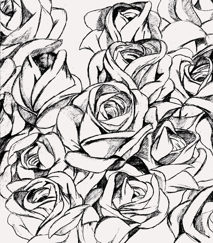 700x798 Unbloomed Rose By Underdogoz