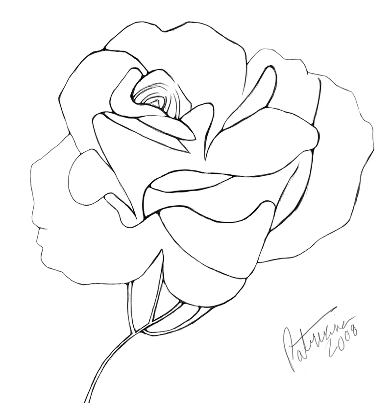 800x823 Blooming Rose Line Art By Nisshoku Art