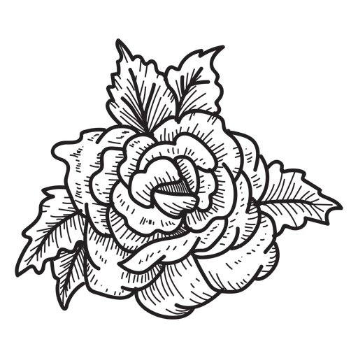 512x512 Blooming Rose Head Sketch Icon Flower