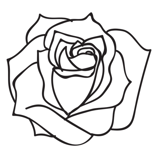 Bloomed Rose Drawing at GetDrawings | Free download