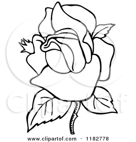 450x470 Clipart Of A Black And White Blooming Rose