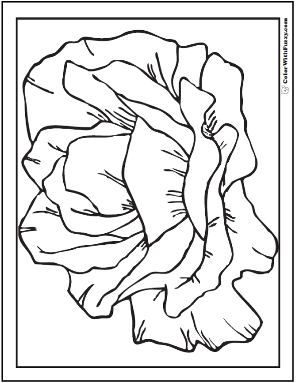 590x762 Rose Coloring Pages Customize Pdf Printables