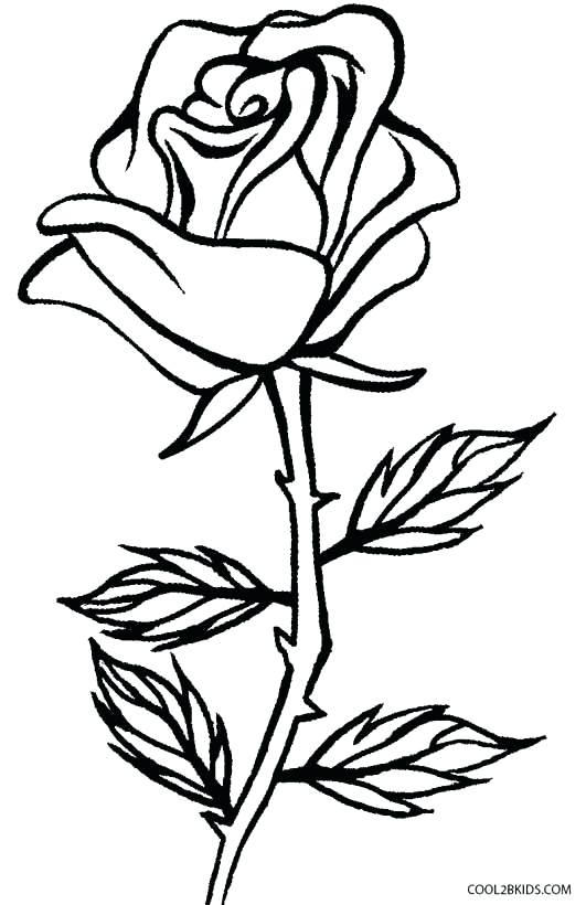 531x820 Rose Coloring Books Click To See Printable Version Of Blooming