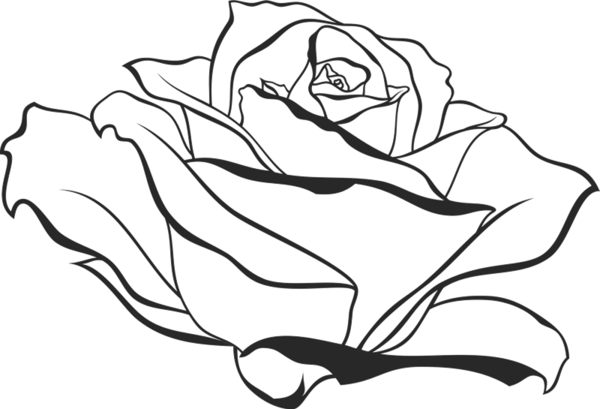 600x409 Side View Of Blooming Rose Rubber Stamp Flower Amp Leaf Stamps