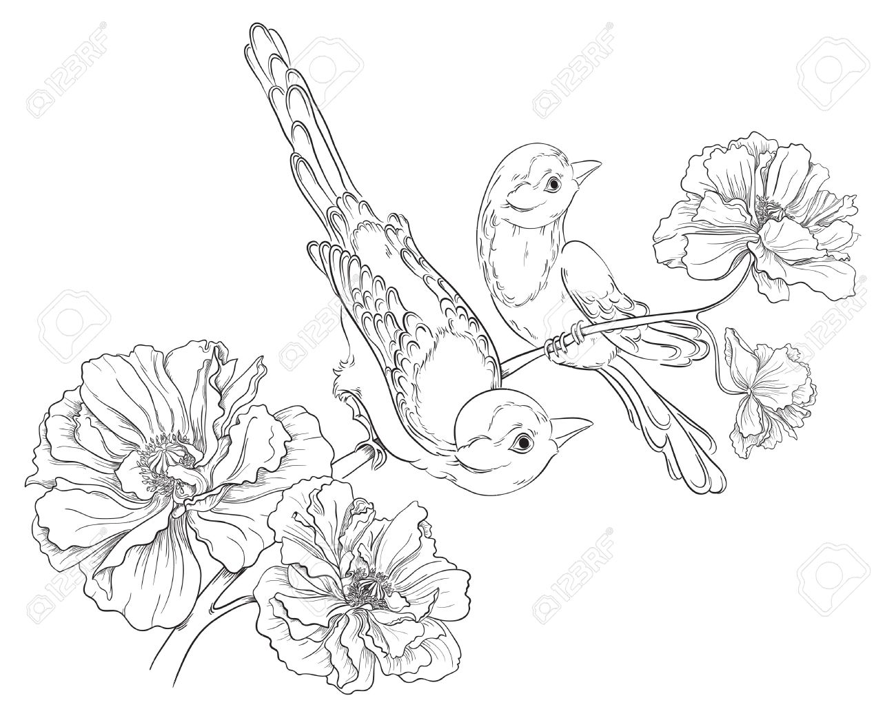 1300x1042 Two Birds Sitting On Blooming Roses Flower Background Vector
