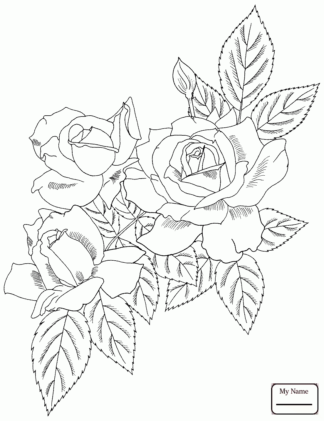 Blooming Rose Drawing at GetDrawings | Free download