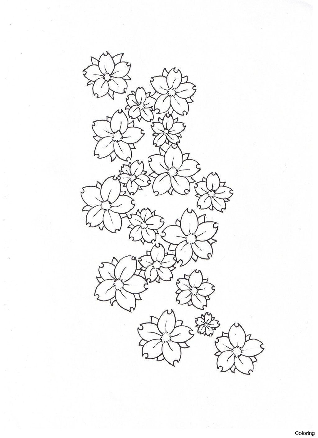 1024x1408 Cherry Blossom Flower Drawing 1000 Images About Trees