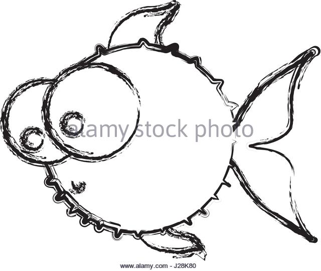 640x540 Blowfish Fish Stock Photos Amp Blowfish Fish Stock Images