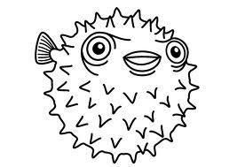 267x189 13 Best Blowfish Images On Draw, Fish And Nature