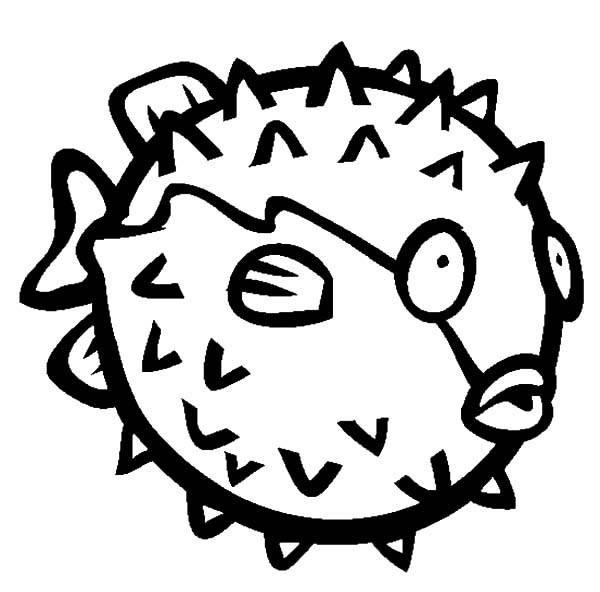 600x592 How To Draw Blowfish Coloring Pages Best Place To Color