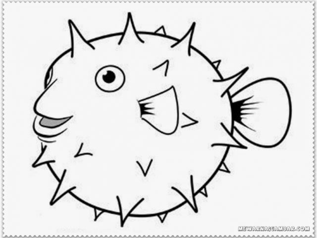 640x480 Blowfish Coloring Pages Allcoloringpages