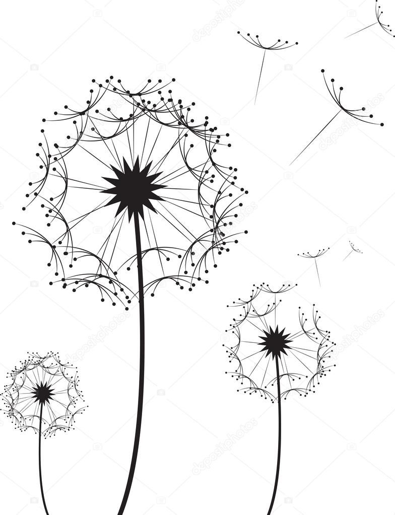 784x1023 Dandelion Flower Stock Vector Milo827