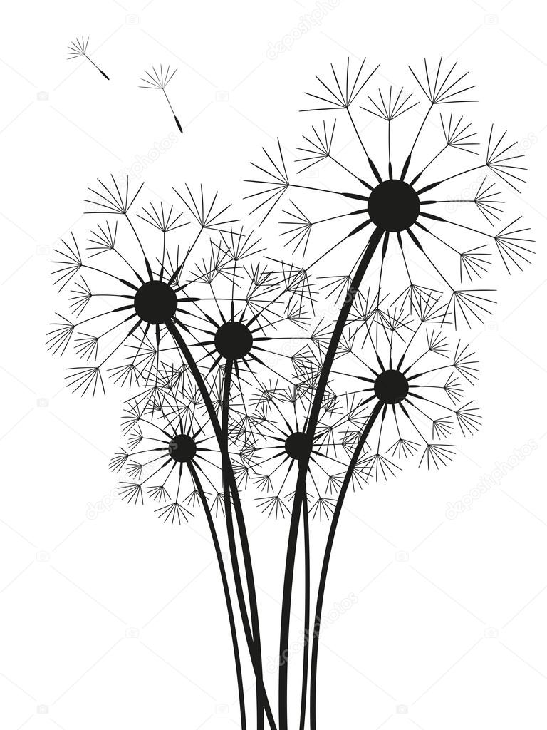 768x1024 Dandelions Stock Vector Huhli13