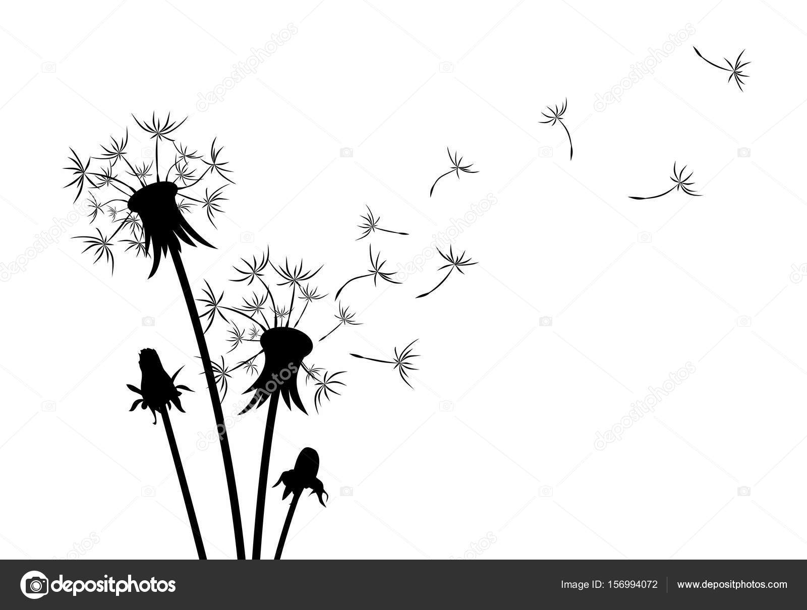 1600x1210 Flower Of Field Dandelion. Stock Vector Designer