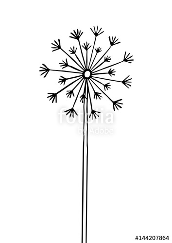 354x500 Search Photos Dandelion Isolated