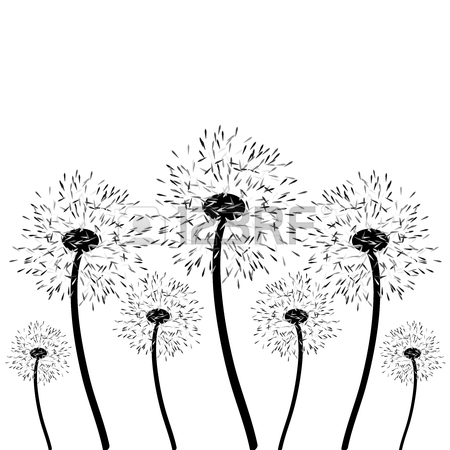 450x450 Vector Dandelion Isolated Stock Photos Amp Pictures. Royalty Free