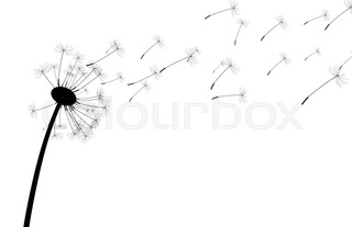 320x207 Wind And Dandelion Vector Illustration Stock Vector Colourbox