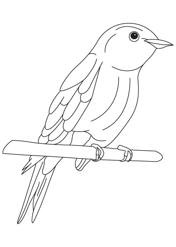 613x860 Blue Bird Coloring Pages Bluebird Of Happiness Coloring Page