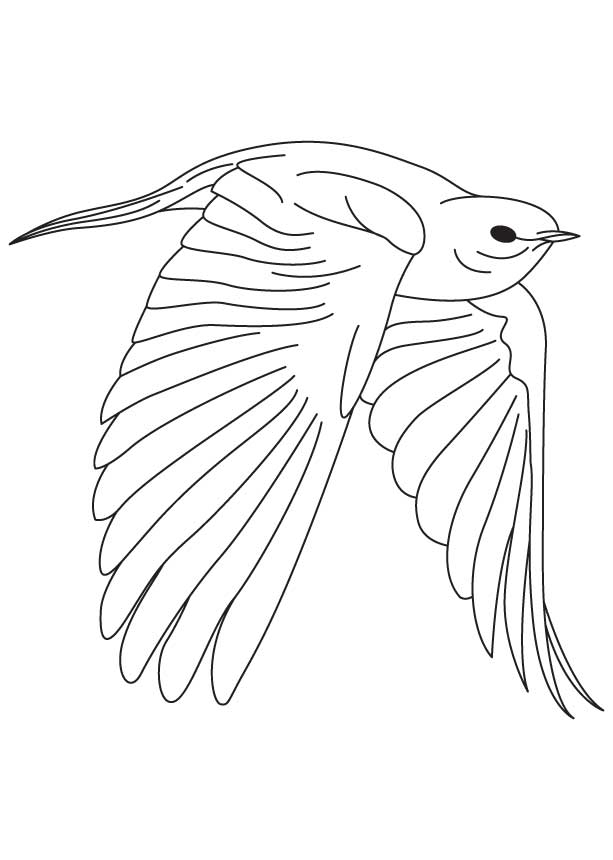 613x860 Blue Bird Coloring Pages Fearless Bluebird Coloring Page Download