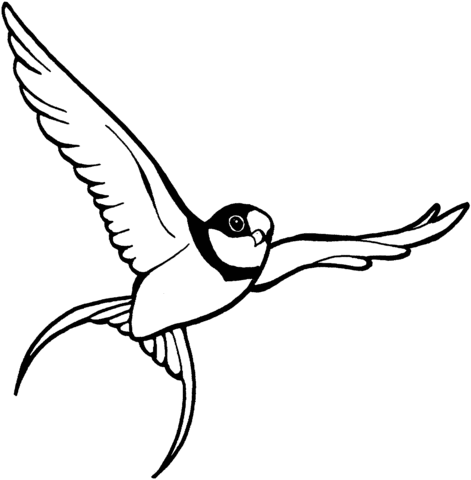 471x480 Flying Sparrow Coloring Page Free Printable Coloring Pages