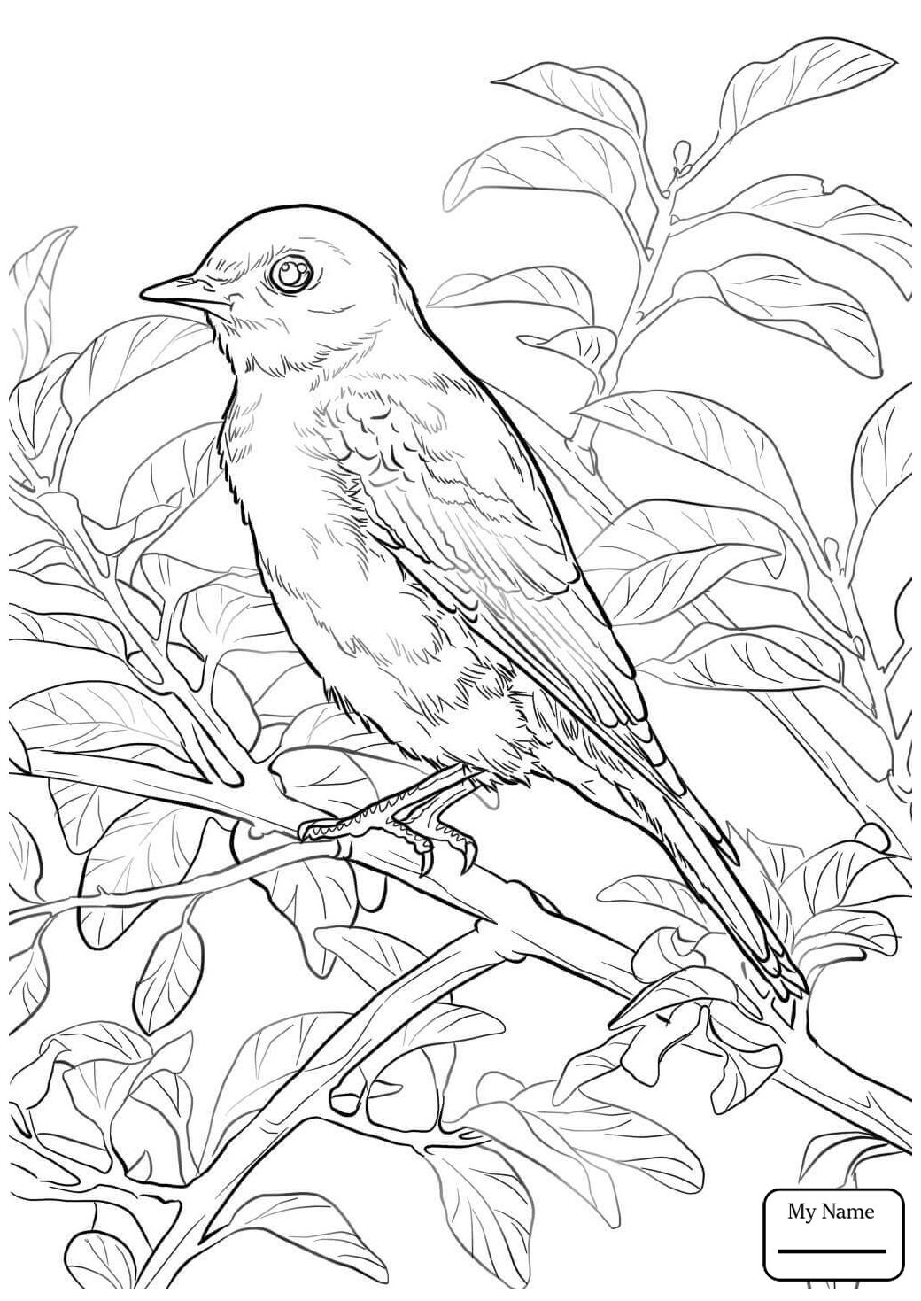 1040x1469 Coloring Pages For Kids Birds Blue Bird Flying Bluebird
