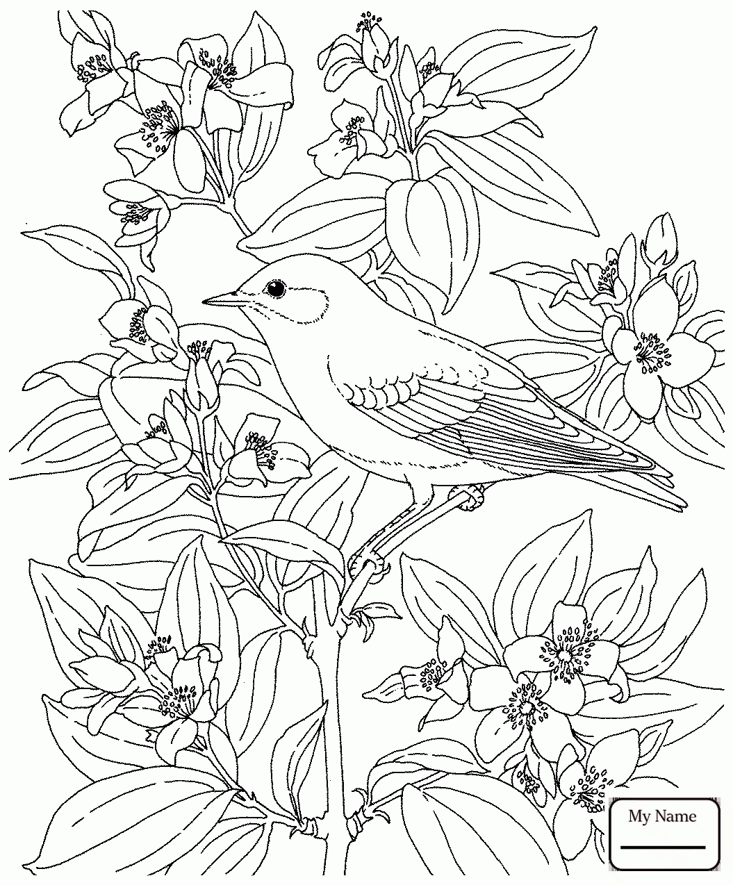 1055x1274 Coloring Pages For Kids Bluebird Birds Blue Bird Flying