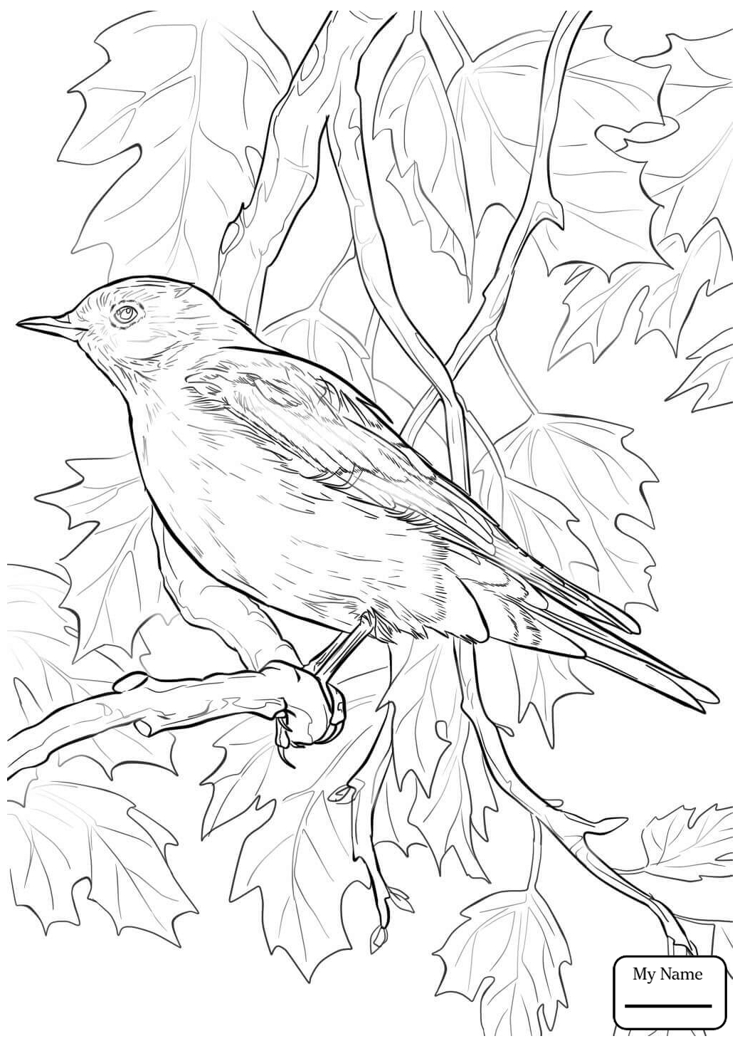 Download Blue Bird Flying Drawing at GetDrawings.com | Free for ...