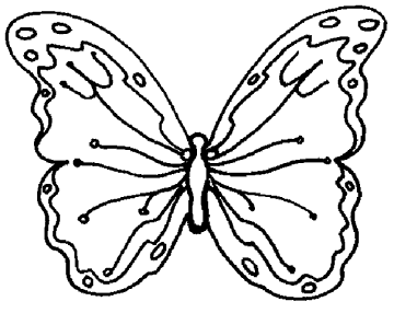 360x286 Foremost's Butterflies Are Blooming