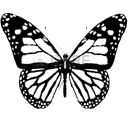 450x425 Isolated Butterfly Of Blue Color On A White Background Stock Photo