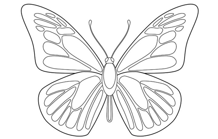 Blue Butterfly Drawing at GetDrawings | Free download