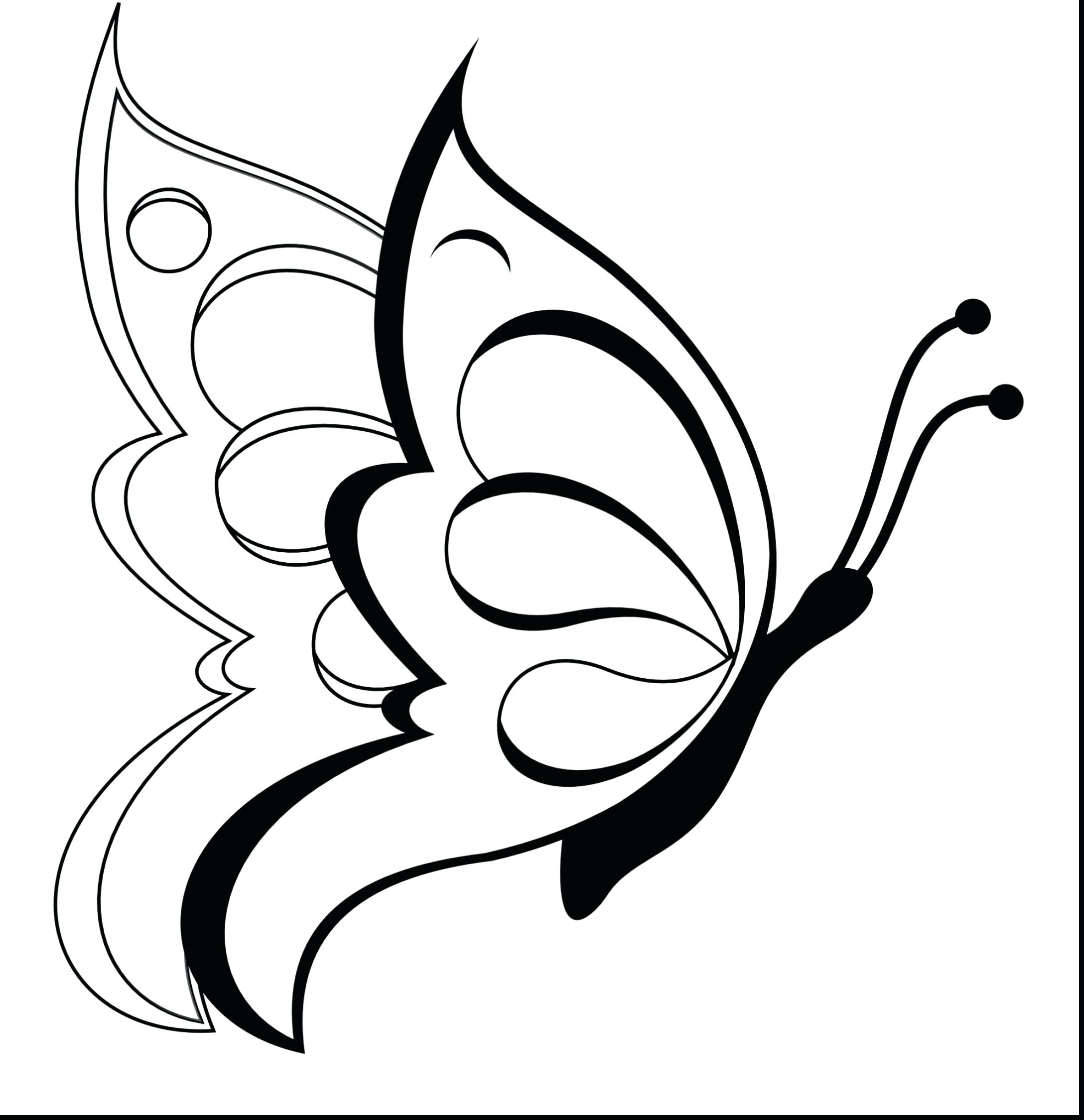 Blue Butterfly Drawing at GetDrawings | Free download