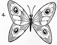 236x186 How To Draw A Butterfly On A Flower, Butterfly And Flower Step 6