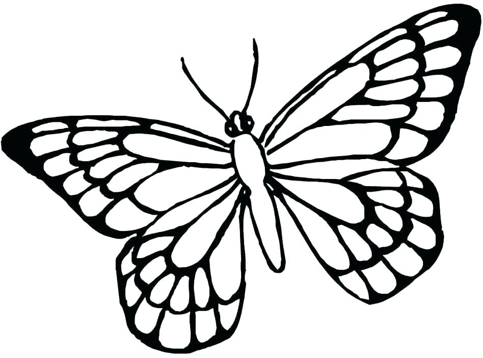 948x702 Butterfly Coloring Pages Printable Butterfly Coloring Pages Cute