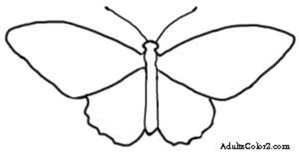 600x310 Butterfly Outline Or Silhouette Basic Butterfly Shapes