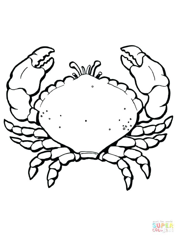 615x820 Blue Crab Coloring Pages Of Hermit Printable For Kids