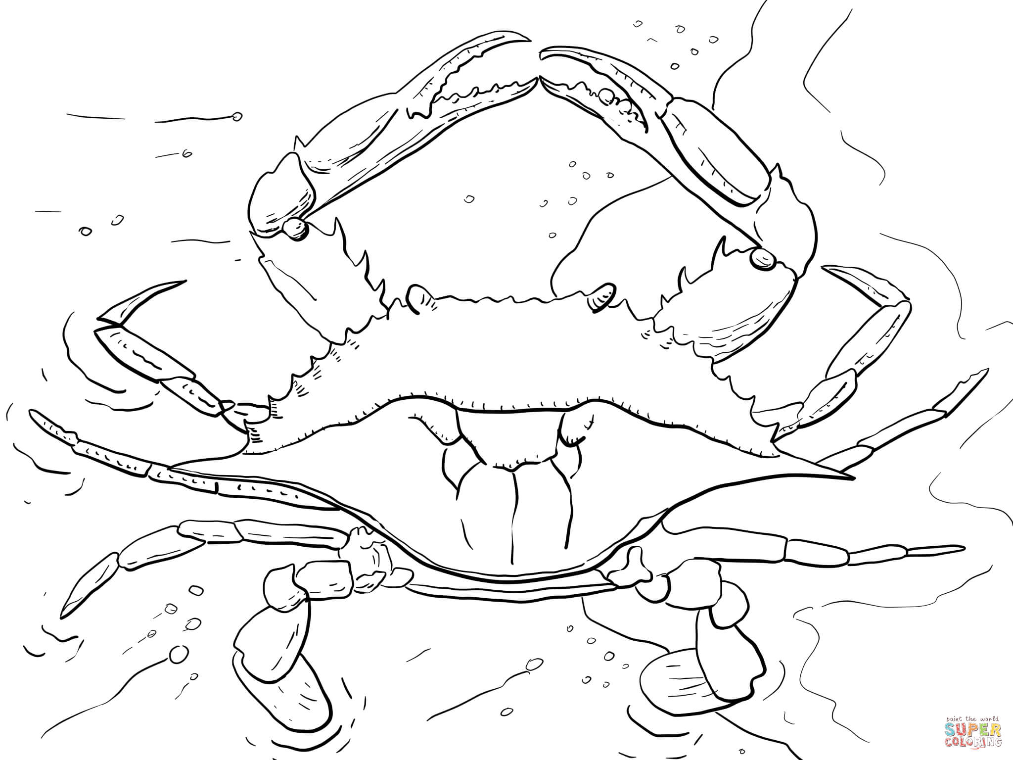 2048x1536 Atlantic Ocean Blue Crab Coloring Page Free Printable Coloring Pages