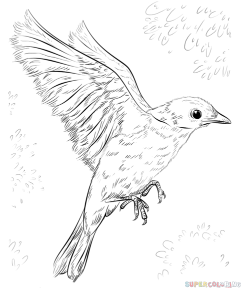 482x575 How To Draw A Blue Bird Step By Step. Drawing Tutorials For Kids