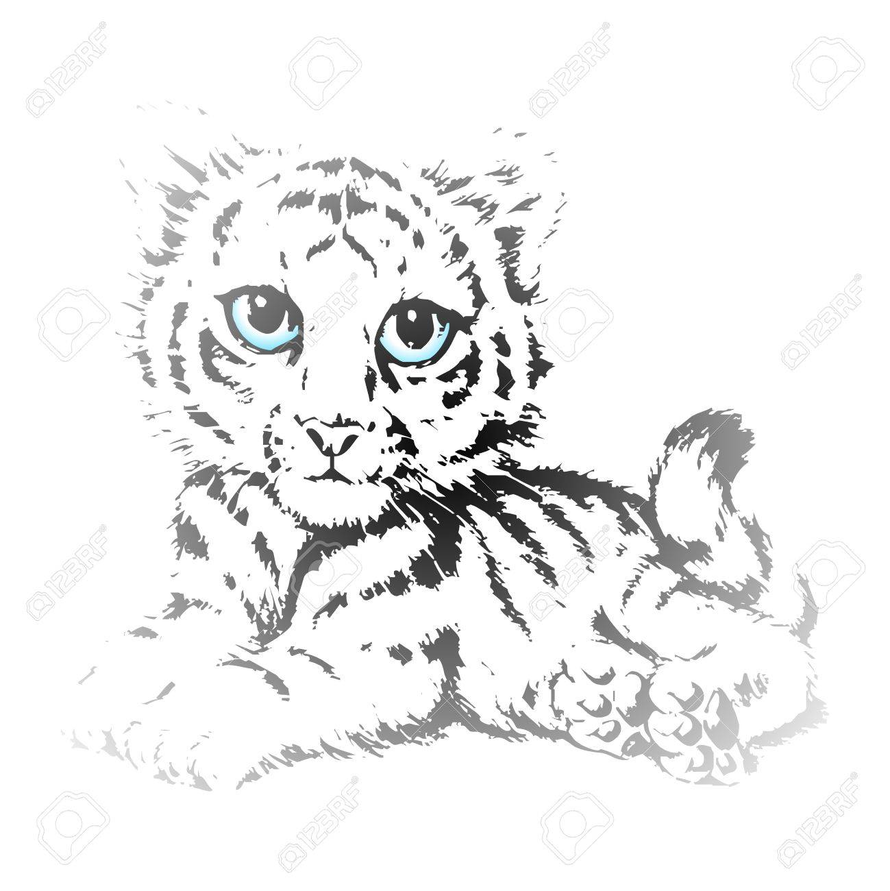 1299x1300 Vector Cute Tiger Cubs Pencil Sketch With Blue Eyes Royalty Free