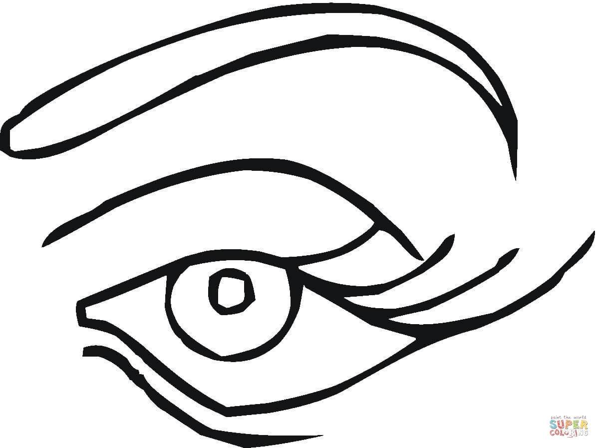 1200x897 Eye Coloring Page Coloring Page For Kids