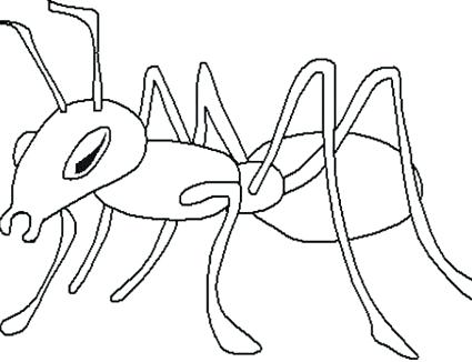 425x326 One Fish Two Fish Red Fish Blue Fish Coloring Pages Camping