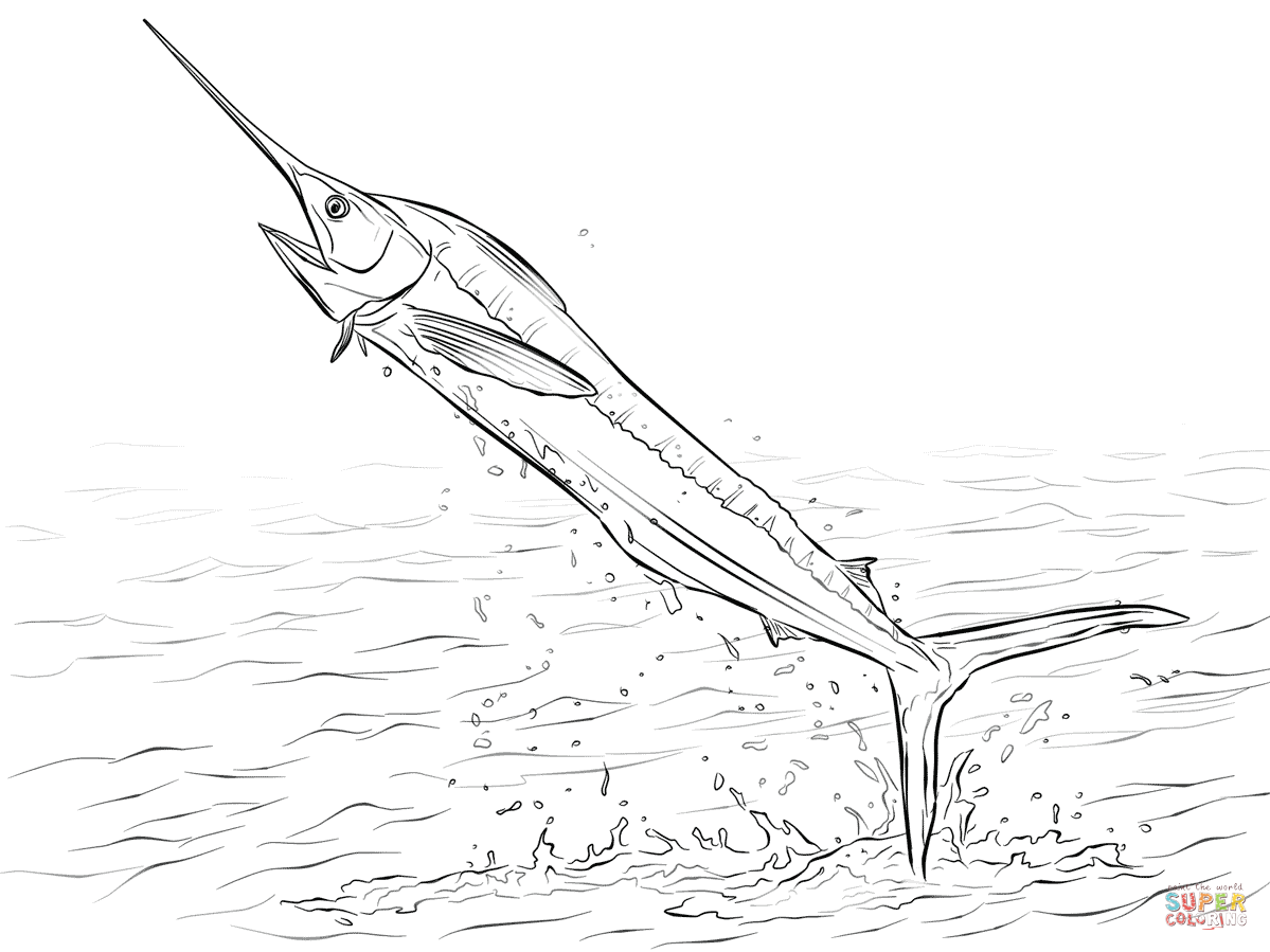 1199x899 White Marlin Jumping Out Of Water Coloring Page Free Printable