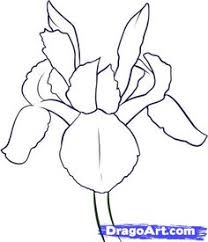 208x242 Image Result For How To Draw Monet's Blue Iris Flower Flowers